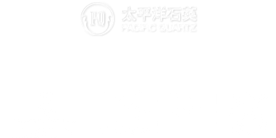 高端网站建设与数字营销服务商|连云港网络公司