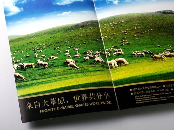 连云港企业画册设计