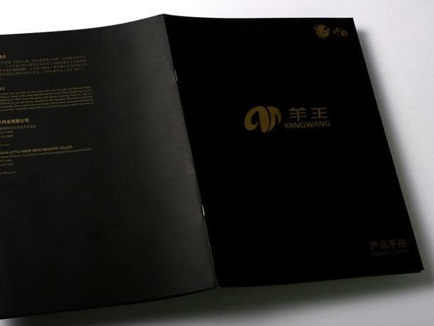 连云港企业画册设计