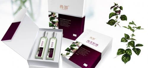 连云港网络公司 | 高端网站建设