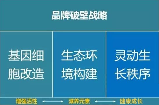 高端网站建设与数字营销服务商|连云港网络公司