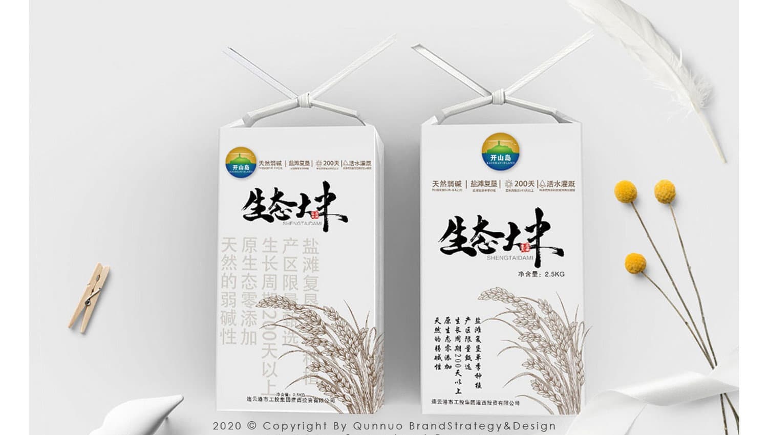 连云港品牌标志＆Vi