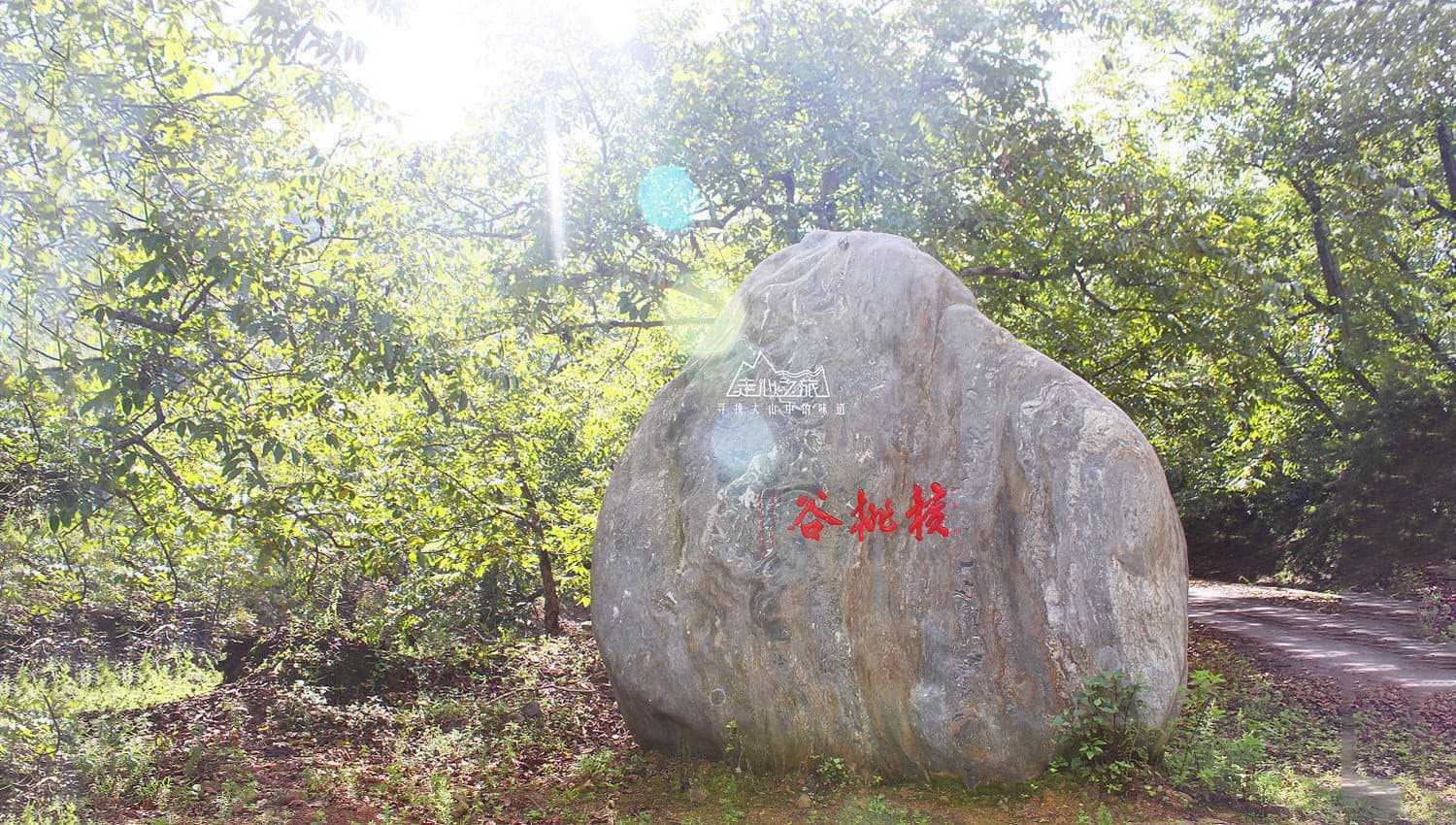 连云港产品＆包装