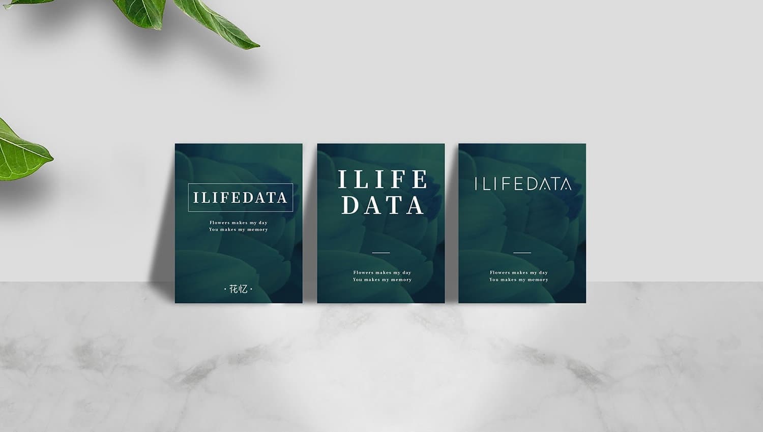 连云港品牌标志＆Vi