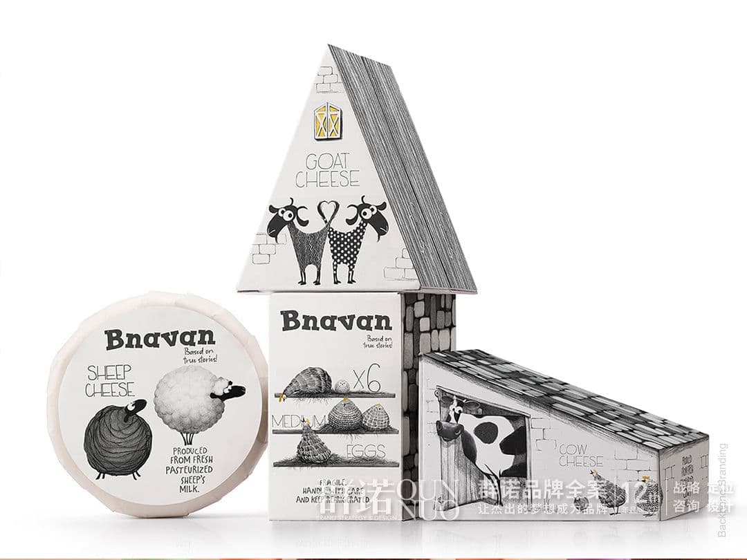 高端网站建设与数字营销服务商|连云港网络公司