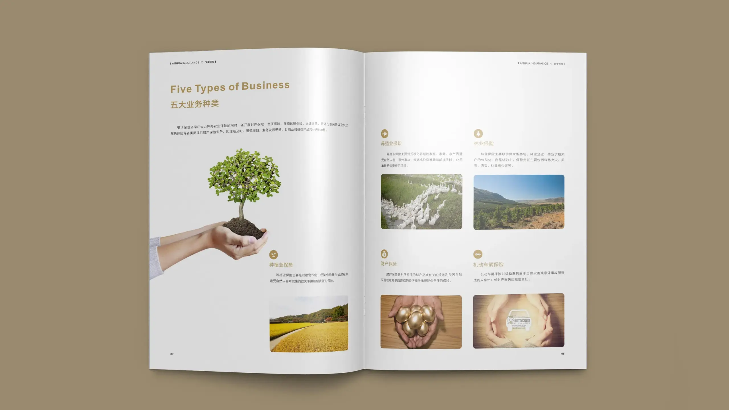 连云港企业画册设计