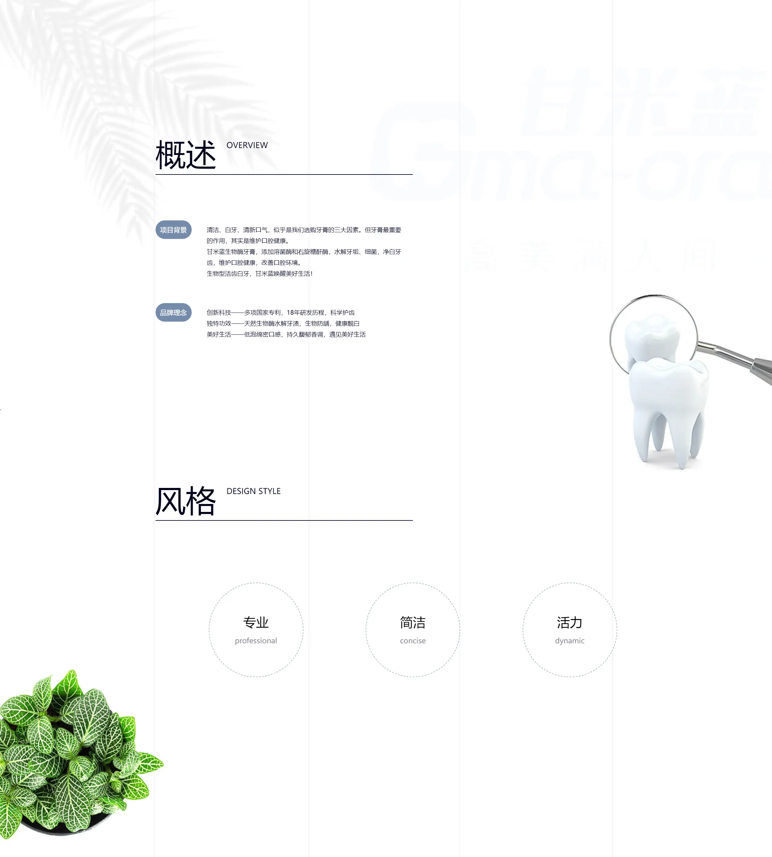 连云港互联网＆数字体验传播